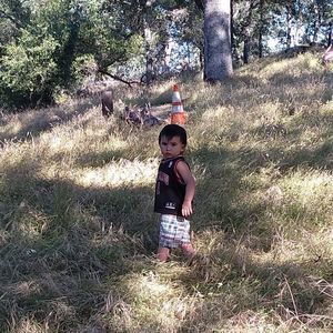 Meet your Posher, Joey